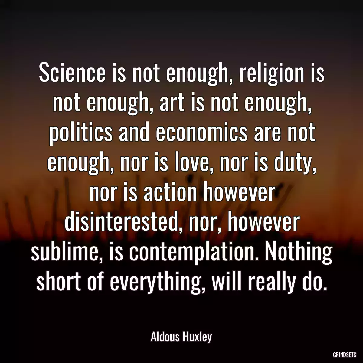 Science is not enough, religion is not enough, art is not enough, politics and economics are not enough, nor is love, nor is duty, nor is action however disinterested, nor, however sublime, is contemplation. Nothing short of everything, will really do.