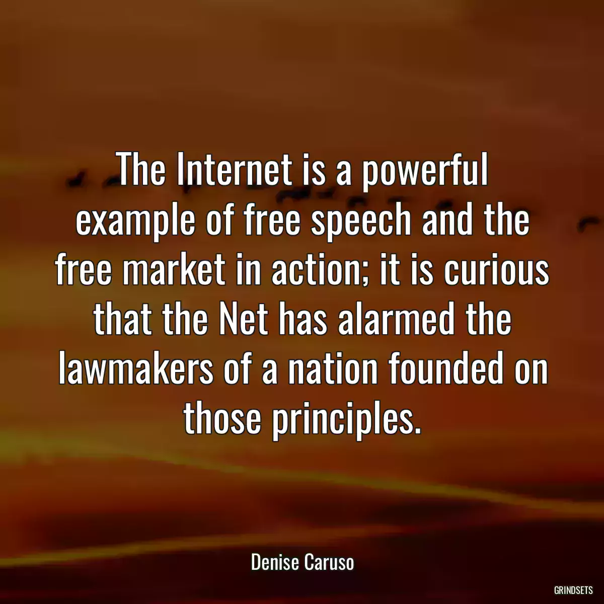 The Internet is a powerful example of free speech and the free market in action; it is curious that the Net has alarmed the lawmakers of a nation founded on those principles.