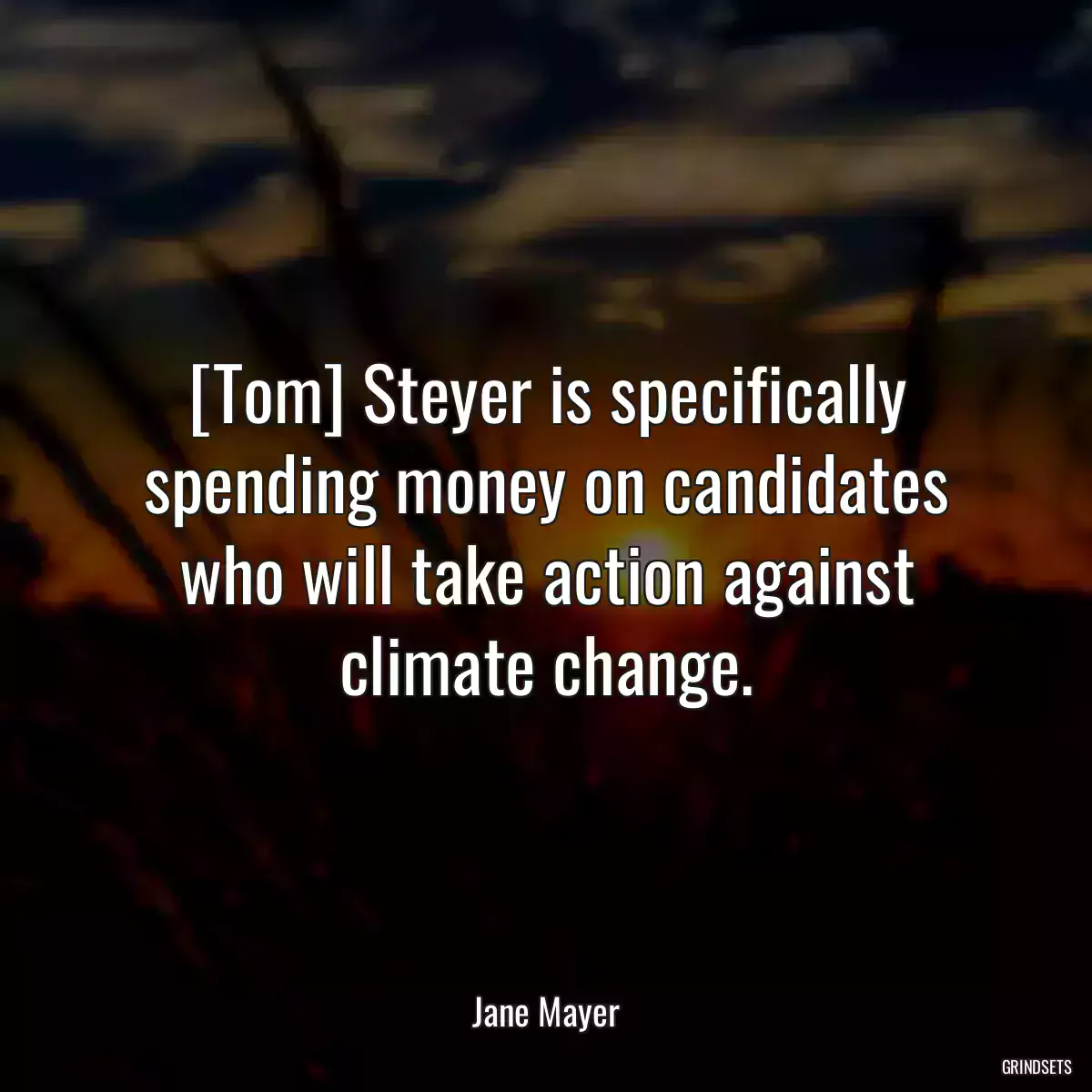 [Tom] Steyer is specifically spending money on candidates who will take action against climate change.