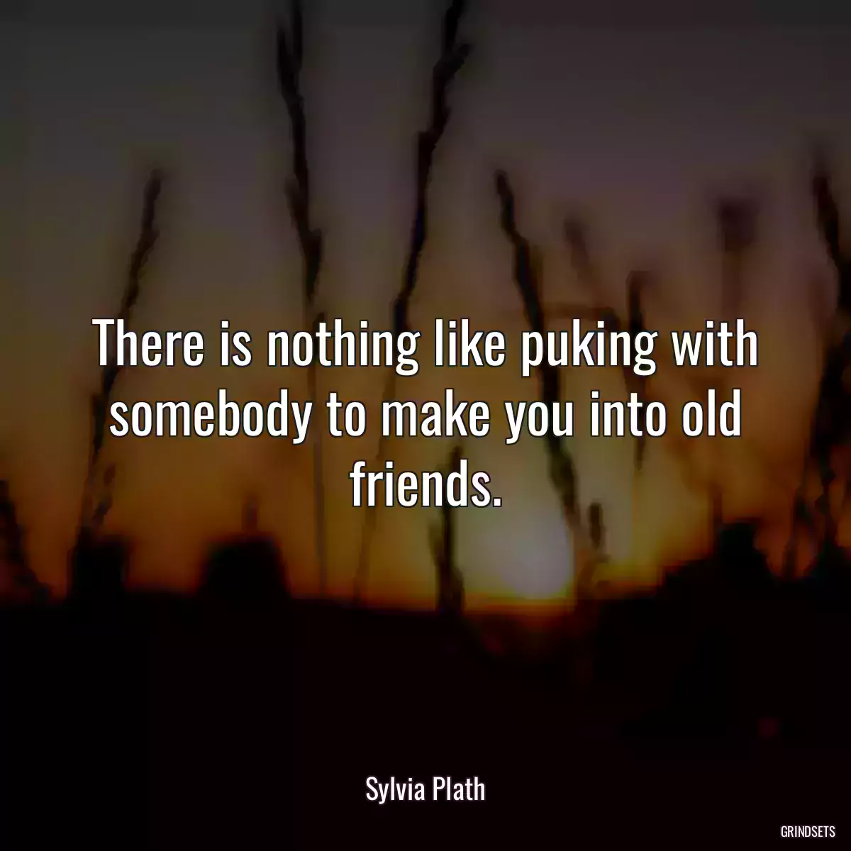 There is nothing like puking with somebody to make you into old friends.