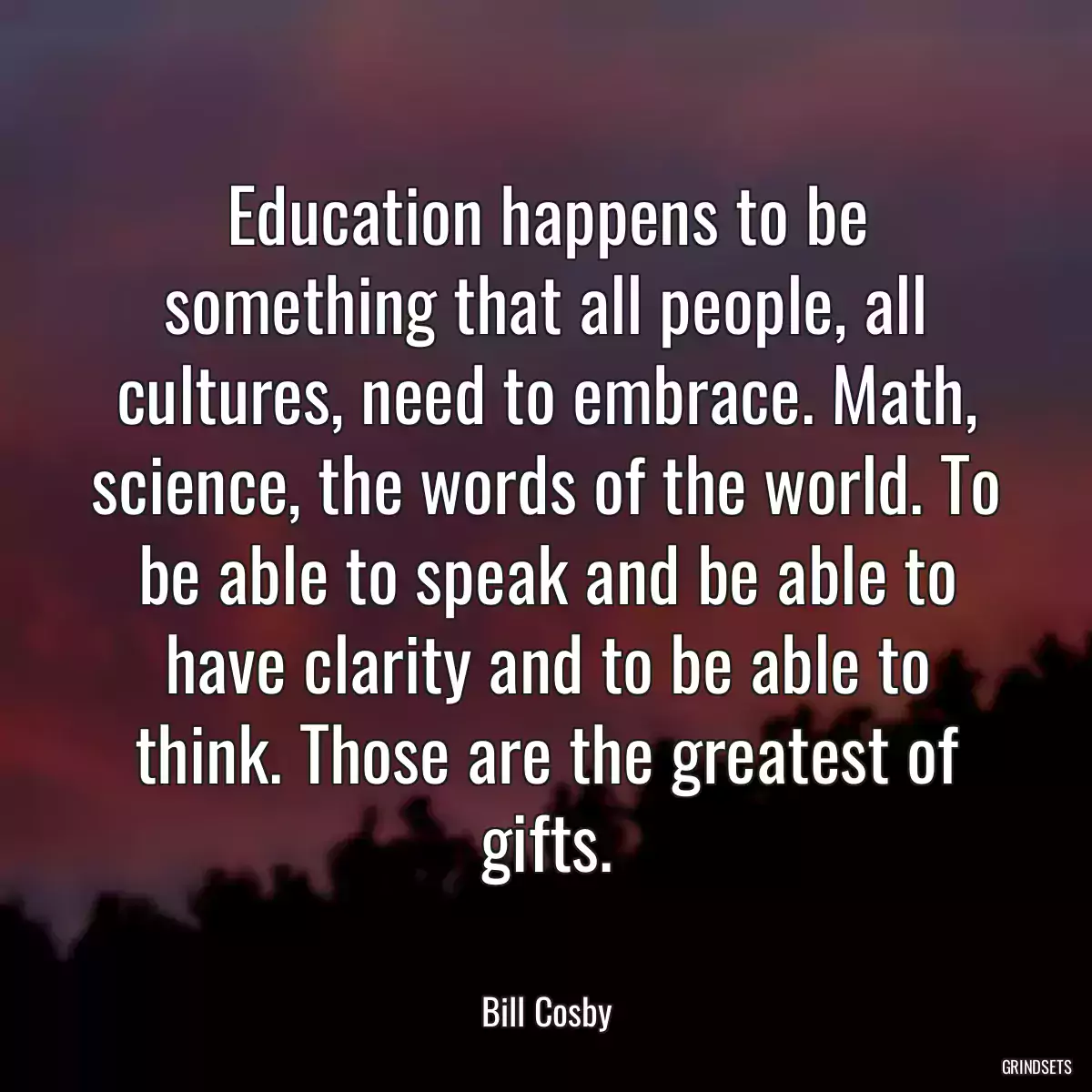 Education happens to be something that all people, all cultures, need to embrace. Math, science, the words of the world. To be able to speak and be able to have clarity and to be able to think. Those are the greatest of gifts.