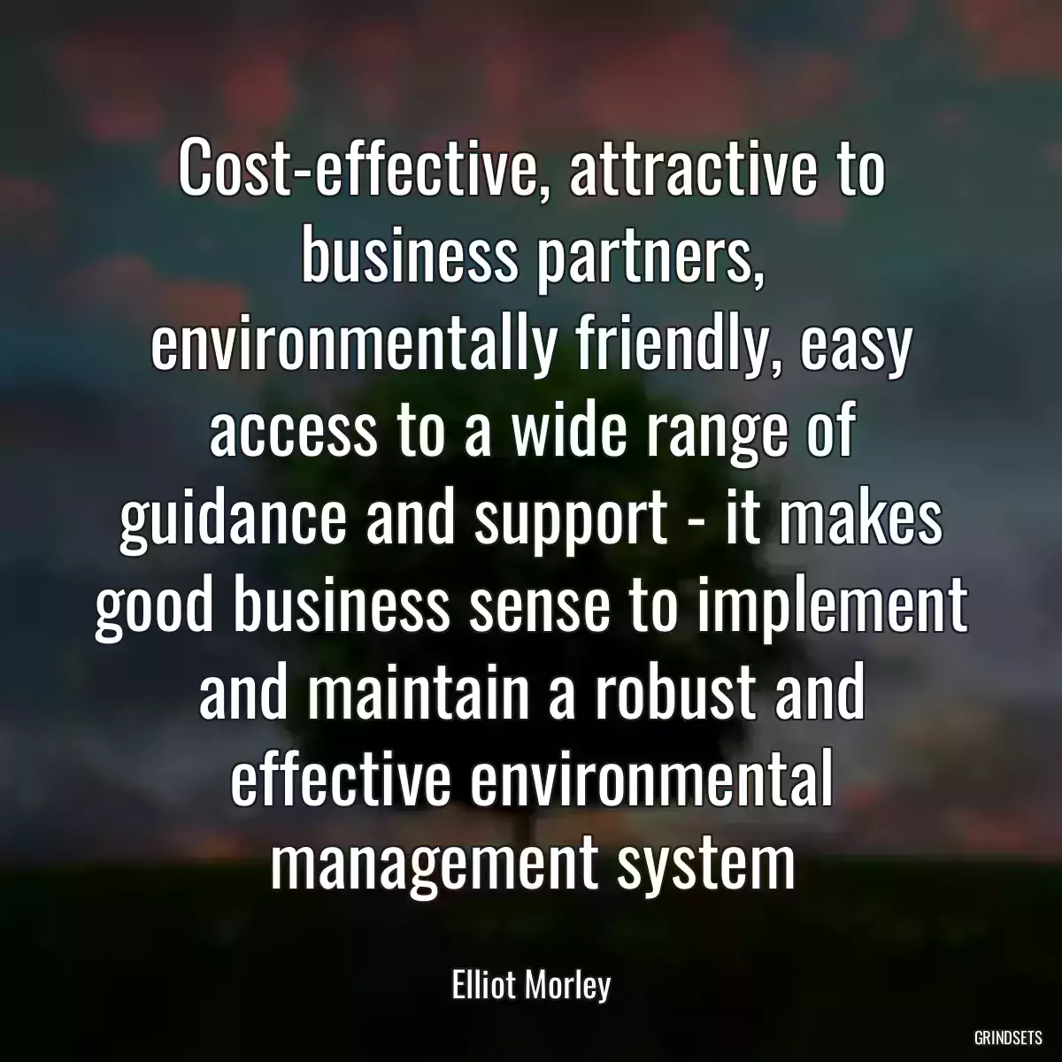 Cost-effective, attractive to business partners, environmentally friendly, easy access to a wide range of guidance and support - it makes good business sense to implement and maintain a robust and effective environmental management system