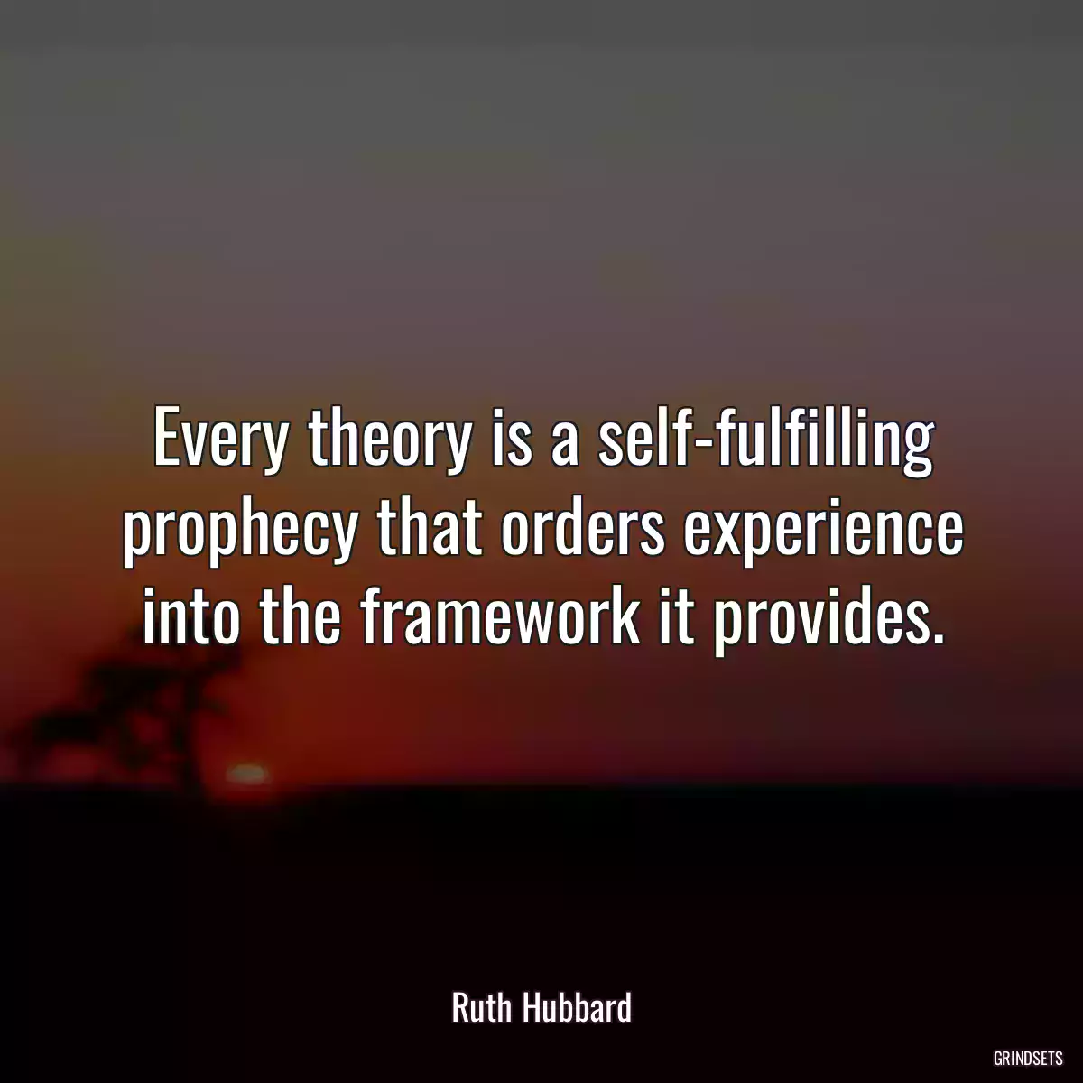 Every theory is a self-fulfilling prophecy that orders experience into the framework it provides.