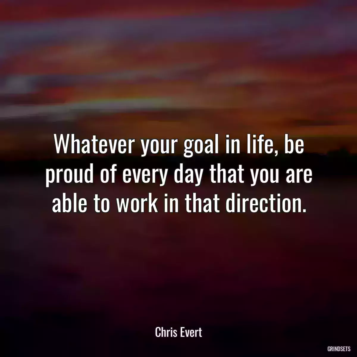 Whatever your goal in life, be proud of every day that you are able to work in that direction.