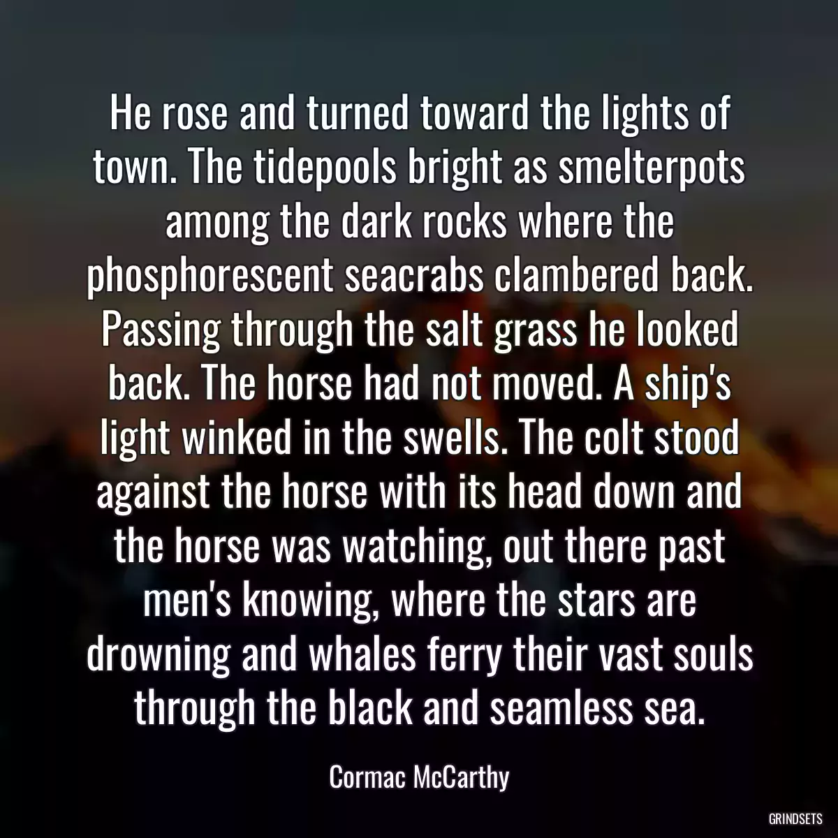 He rose and turned toward the lights of town. The tidepools bright as smelterpots among the dark rocks where the phosphorescent seacrabs clambered back. Passing through the salt grass he looked back. The horse had not moved. A ship\'s light winked in the swells. The colt stood against the horse with its head down and the horse was watching, out there past men\'s knowing, where the stars are drowning and whales ferry their vast souls through the black and seamless sea.