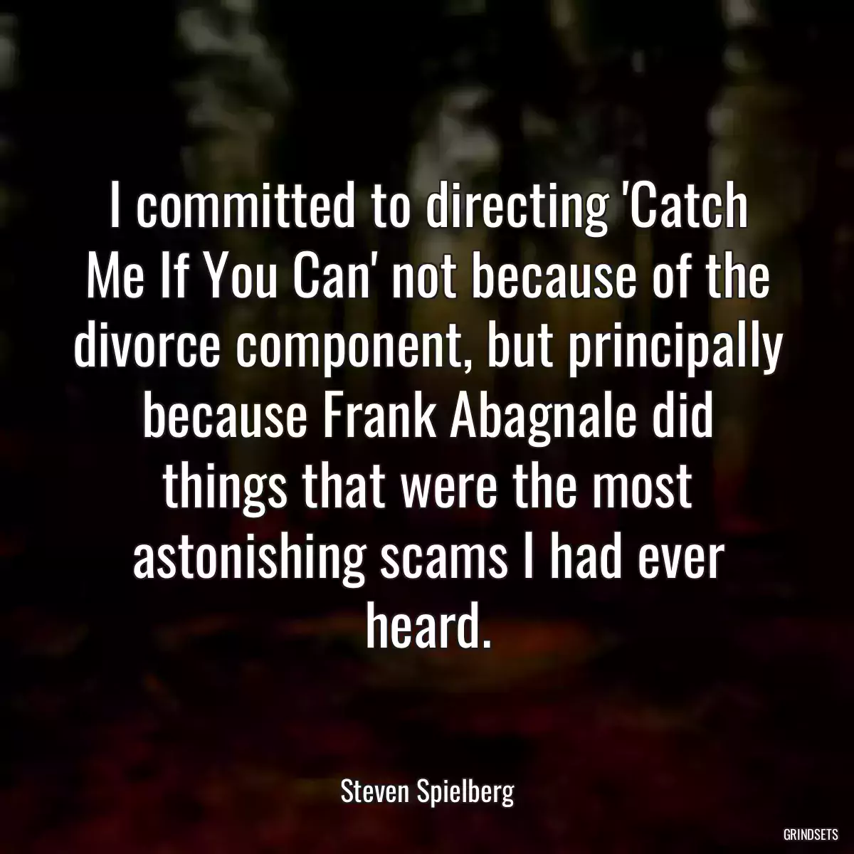 I committed to directing \'Catch Me If You Can\' not because of the divorce component, but principally because Frank Abagnale did things that were the most astonishing scams I had ever heard.