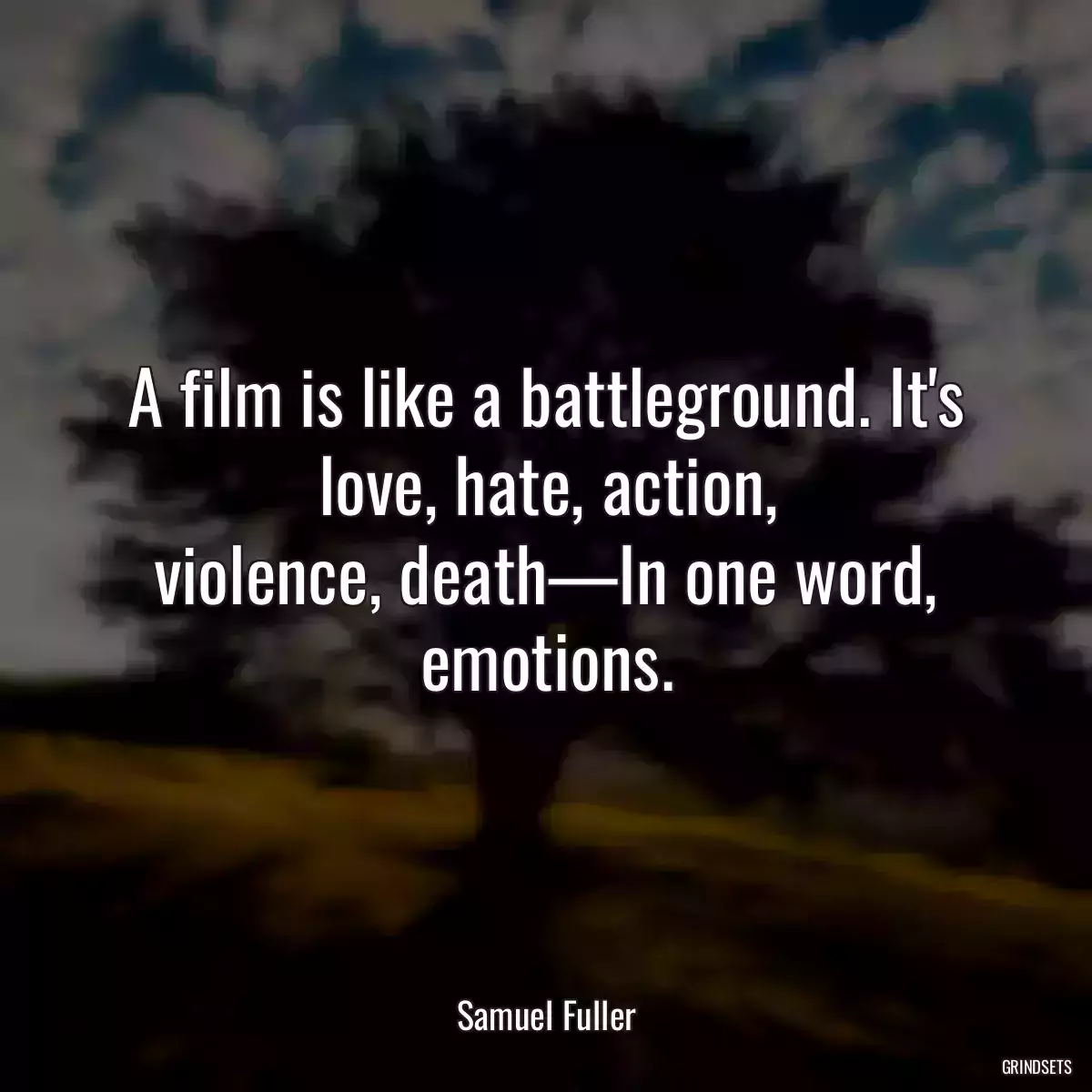 A film is like a battleground. It\'s love, hate, action, violence, death—In one word, emotions.