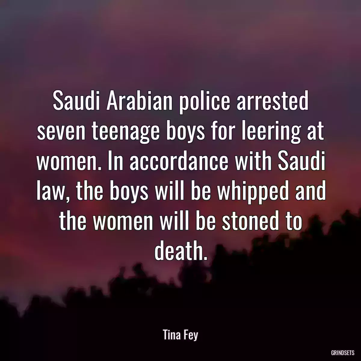 Saudi Arabian police arrested seven teenage boys for leering at women. In accordance with Saudi law, the boys will be whipped and the women will be stoned to death.