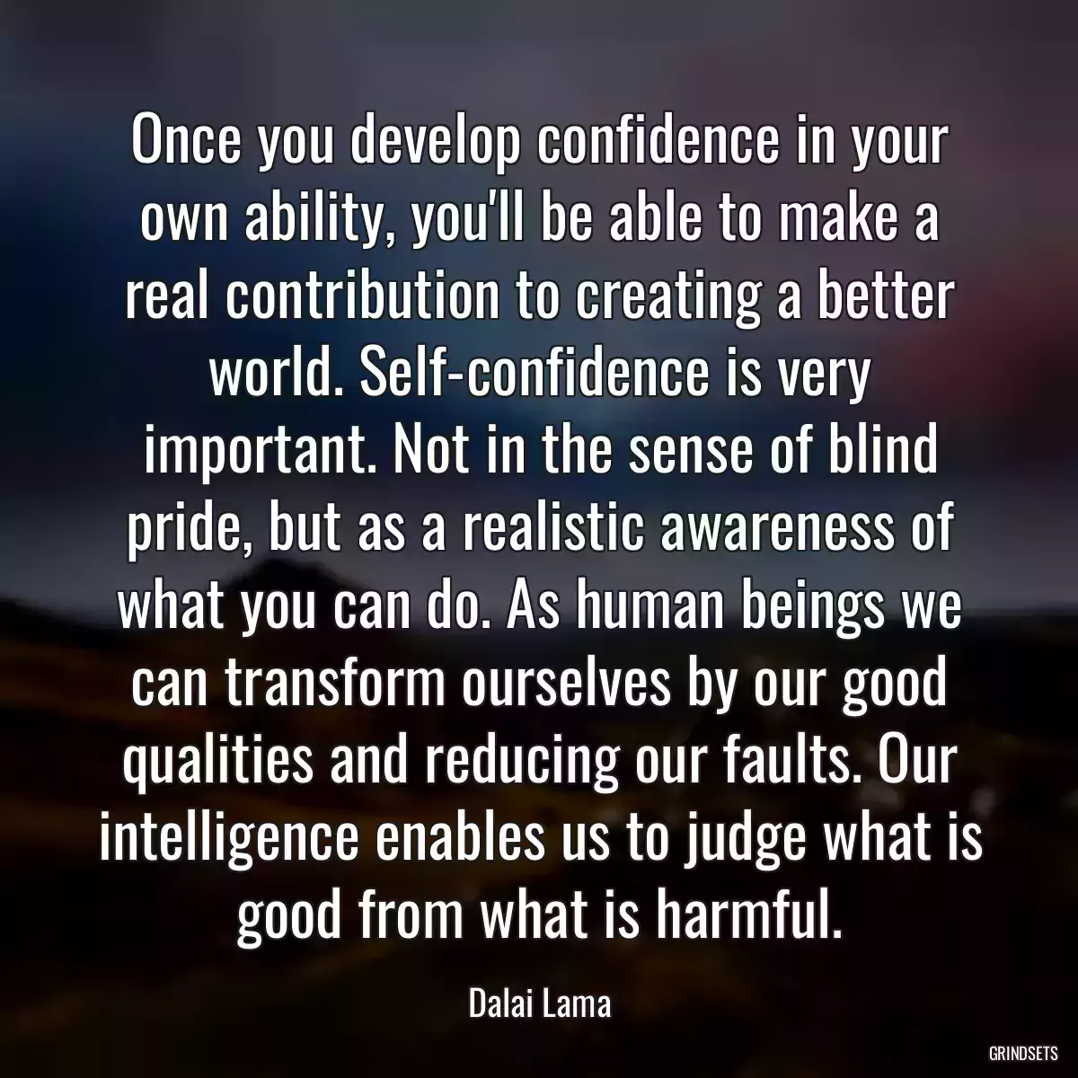 Once you develop confidence in your own ability, you\'ll be able to make a real contribution to creating a better world. Self-confidence is very important. Not in the sense of blind pride, but as a realistic awareness of what you can do. As human beings we can transform ourselves by our good qualities and reducing our faults. Our intelligence enables us to judge what is good from what is harmful.