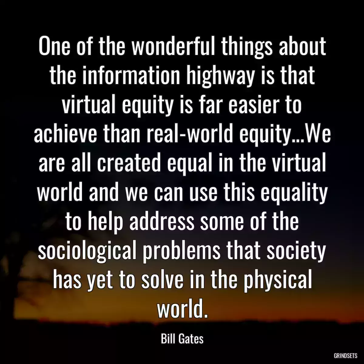 One of the wonderful things about the information highway is that virtual equity is far easier to achieve than real-world equity...We are all created equal in the virtual world and we can use this equality to help address some of the sociological problems that society has yet to solve in the physical world.