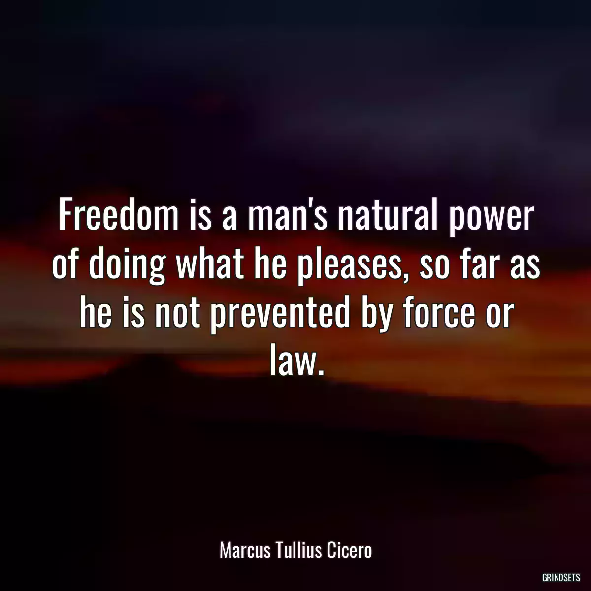 Freedom is a man\'s natural power of doing what he pleases, so far as he is not prevented by force or law.