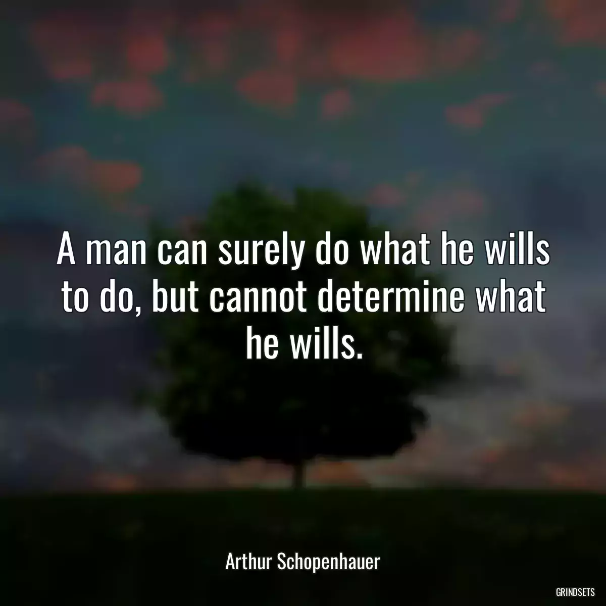 A man can surely do what he wills to do, but cannot determine what he wills.