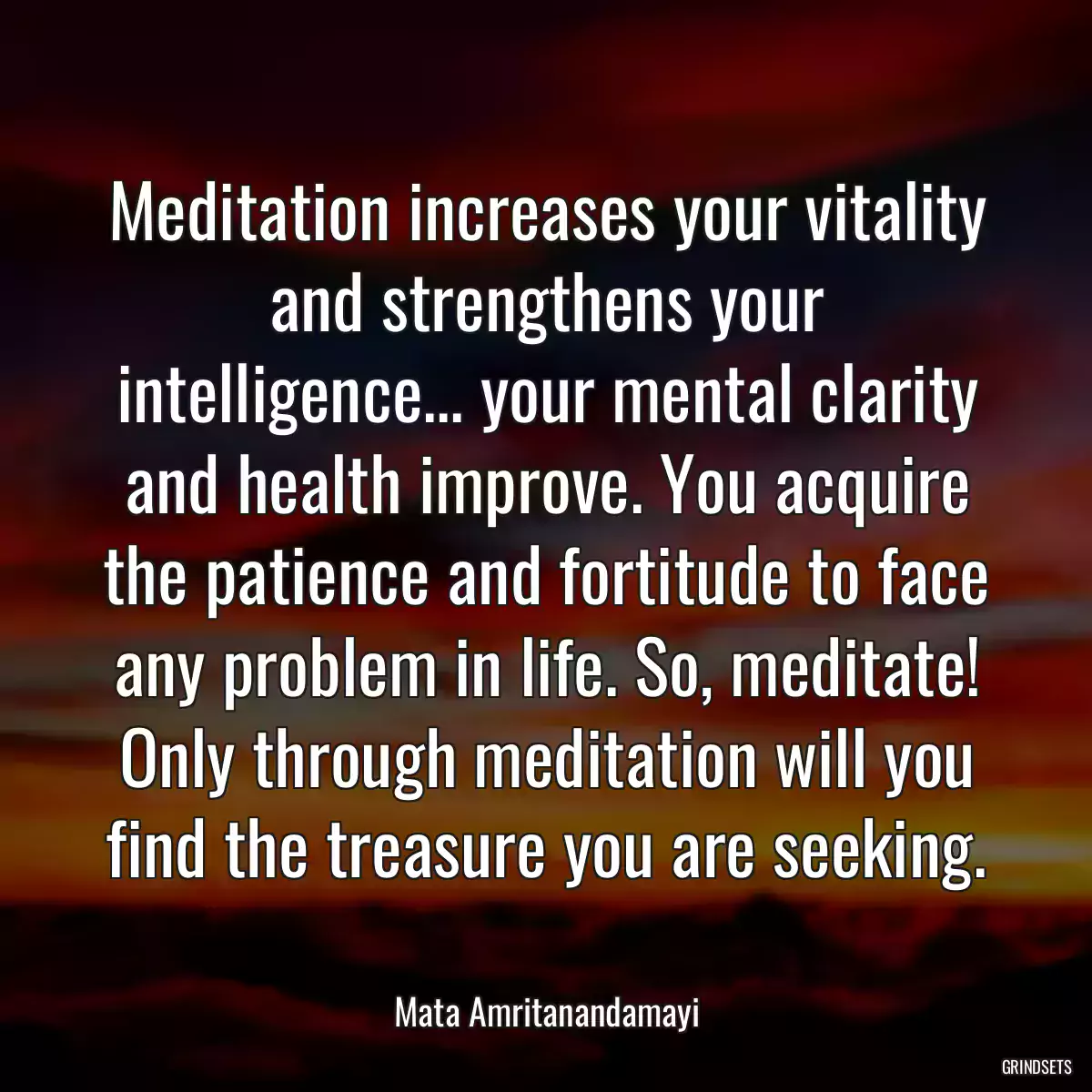 Meditation increases your vitality and strengthens your intelligence... your mental clarity and health improve. You acquire the patience and fortitude to face any problem in life. So, meditate! Only through meditation will you find the treasure you are seeking.