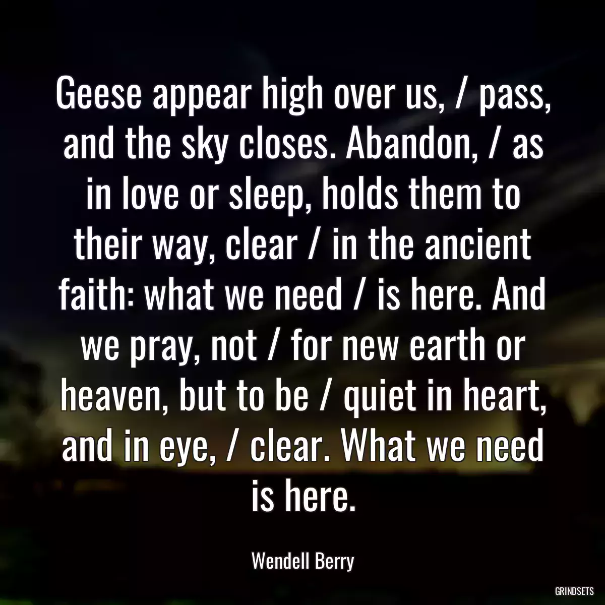 Geese appear high over us, / pass, and the sky closes. Abandon, / as in love or sleep, holds them to their way, clear / in the ancient faith: what we need / is here. And we pray, not / for new earth or heaven, but to be / quiet in heart, and in eye, / clear. What we need is here.