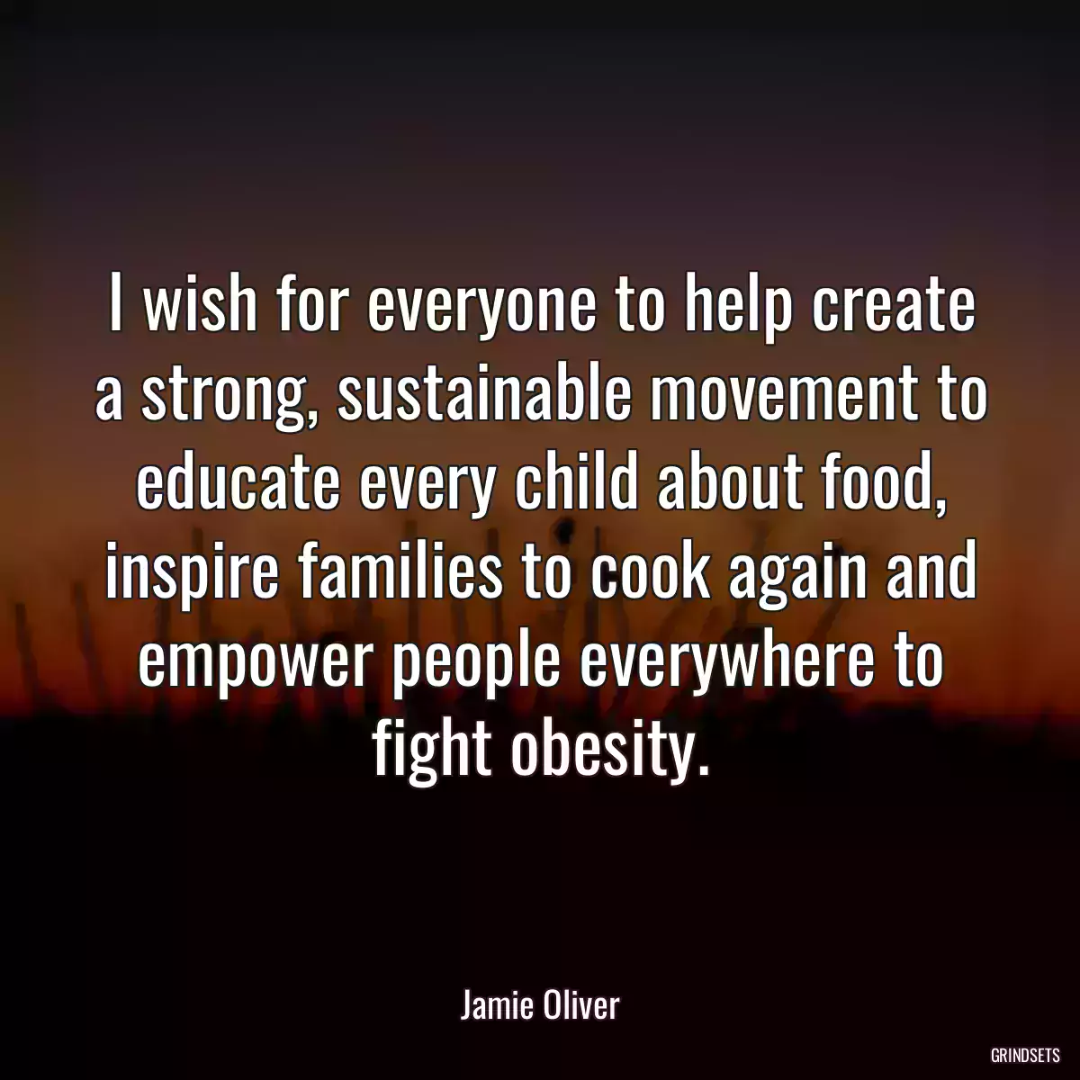 I wish for everyone to help create a strong, sustainable movement to educate every child about food, inspire families to cook again and empower people everywhere to fight obesity.