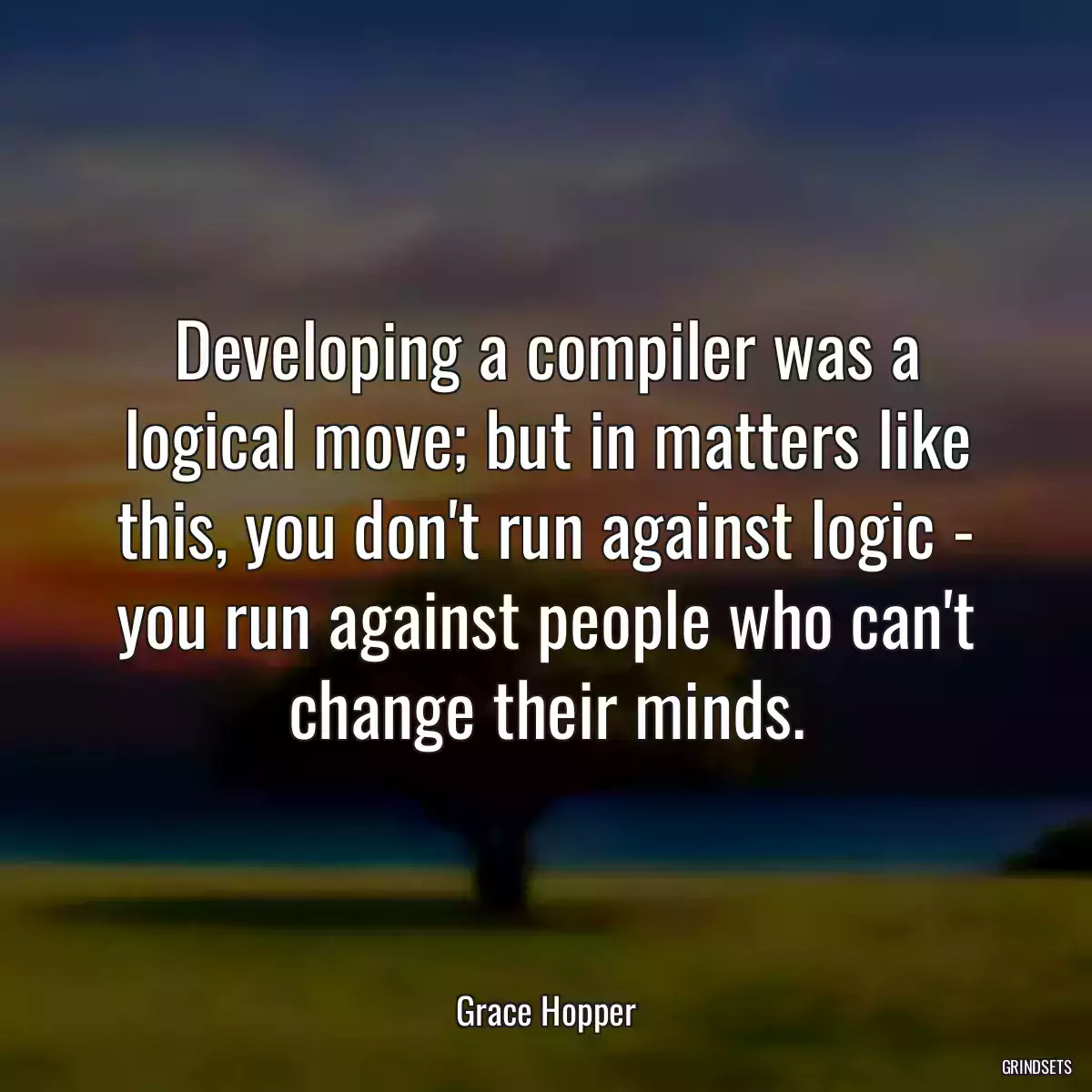 Developing a compiler was a logical move; but in matters like this, you don\'t run against logic - you run against people who can\'t change their minds.