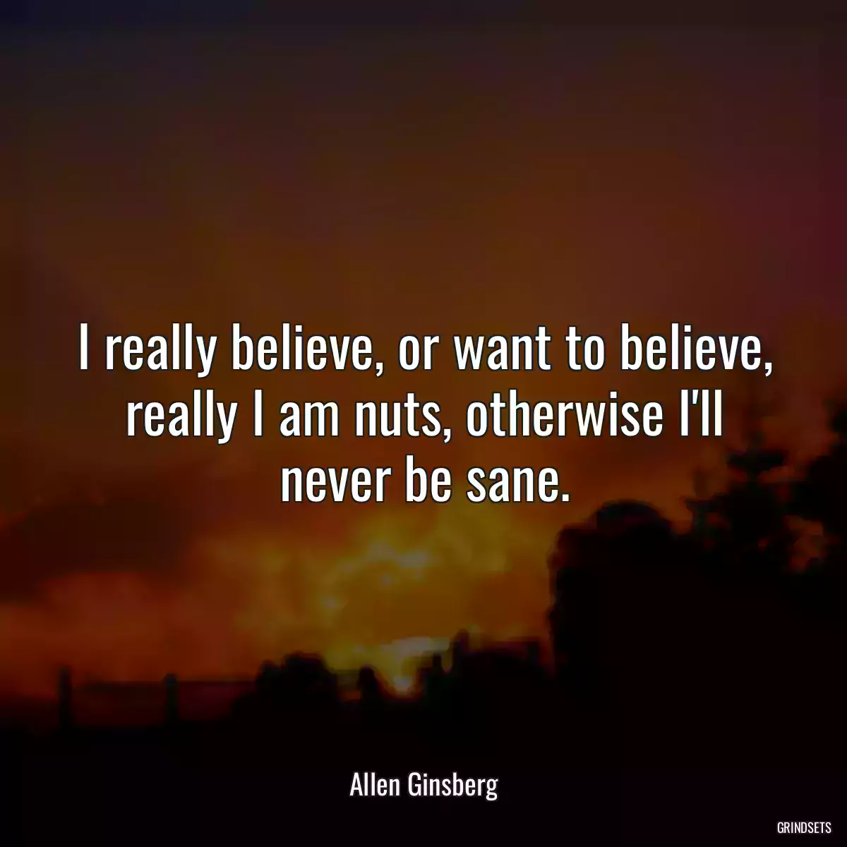 I really believe, or want to believe, really I am nuts, otherwise I\'ll never be sane.