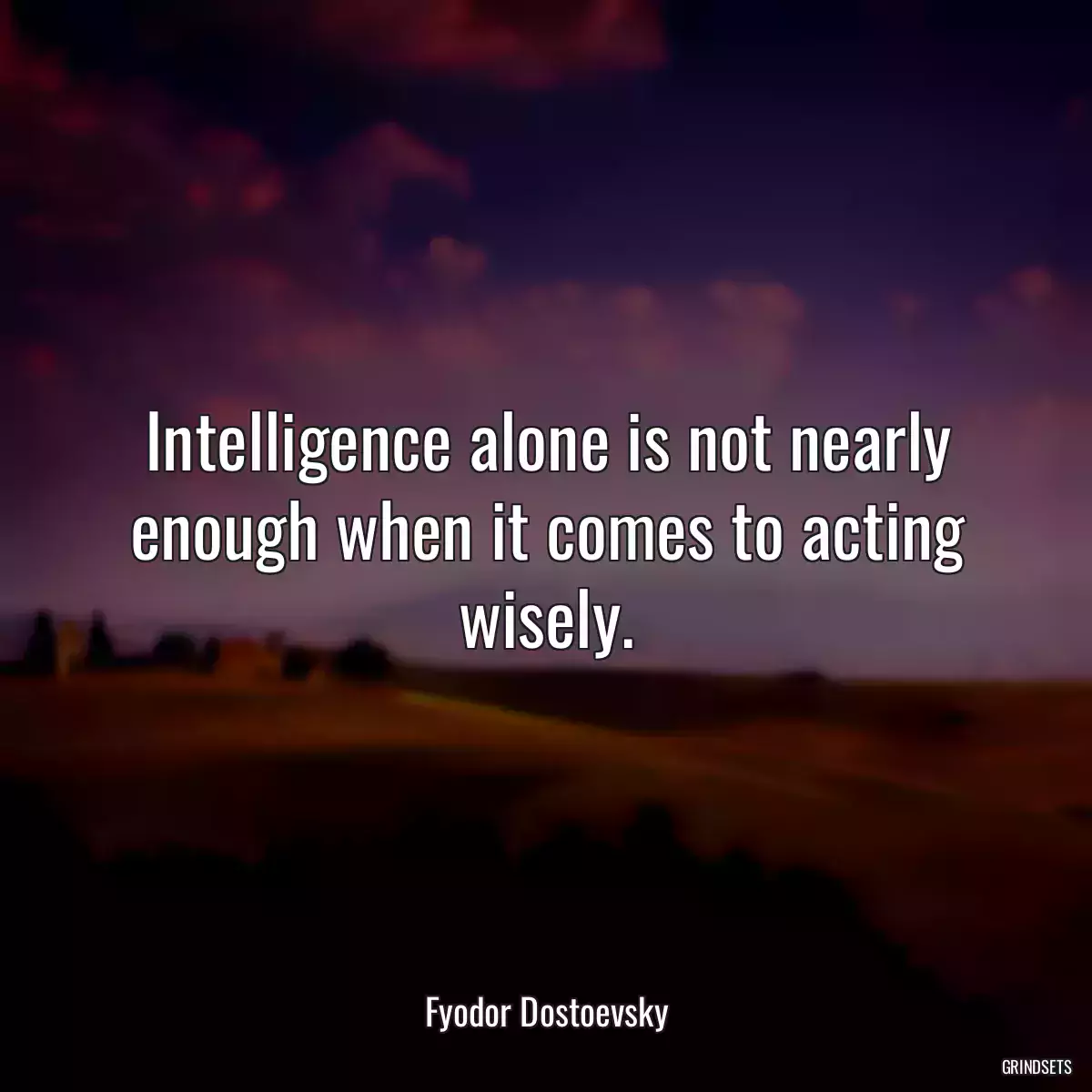 Intelligence alone is not nearly enough when it comes to acting wisely.