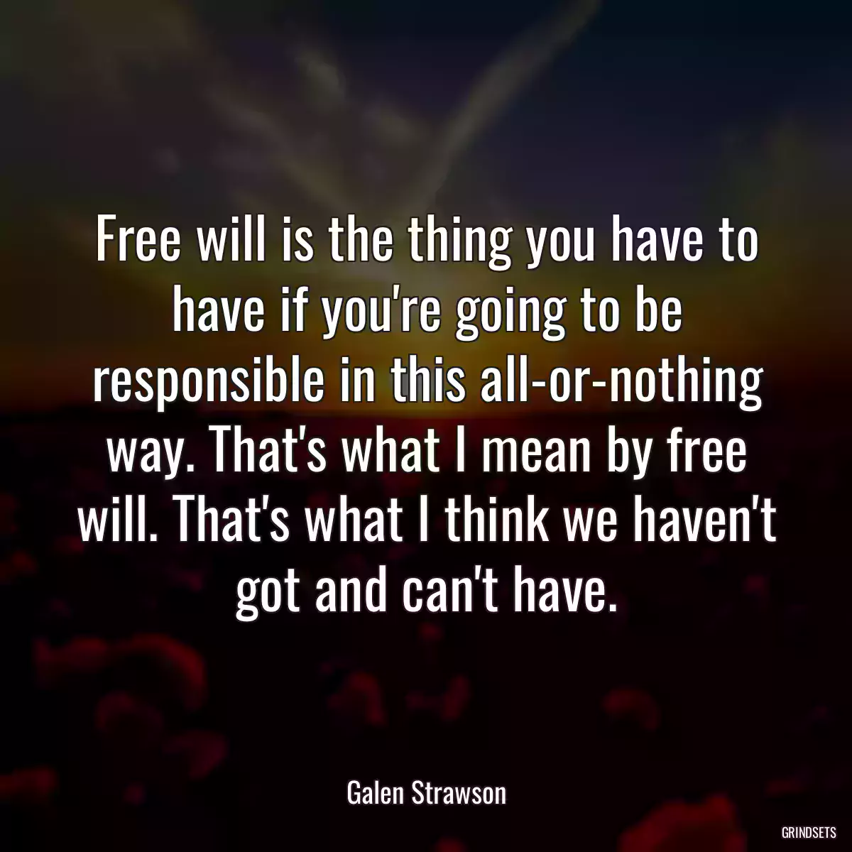 Free will is the thing you have to have if you\'re going to be responsible in this all-or-nothing way. That\'s what I mean by free will. That\'s what I think we haven\'t got and can\'t have.