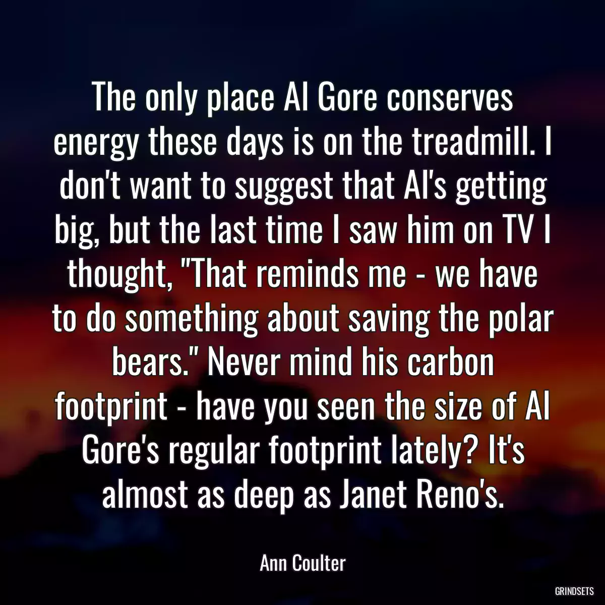 The only place Al Gore conserves energy these days is on the treadmill. I don\'t want to suggest that Al\'s getting big, but the last time I saw him on TV I thought, \