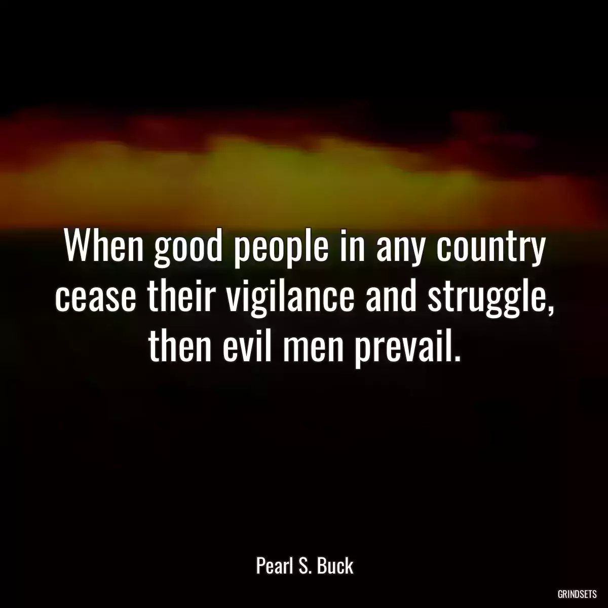 When good people in any country cease their vigilance and struggle, then evil men prevail.