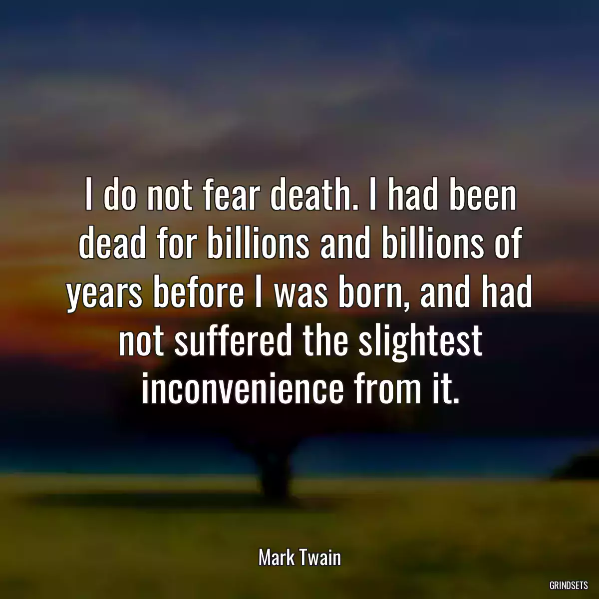 I do not fear death. I had been dead for billions and billions of years before I was born, and had not suffered the slightest inconvenience from it.