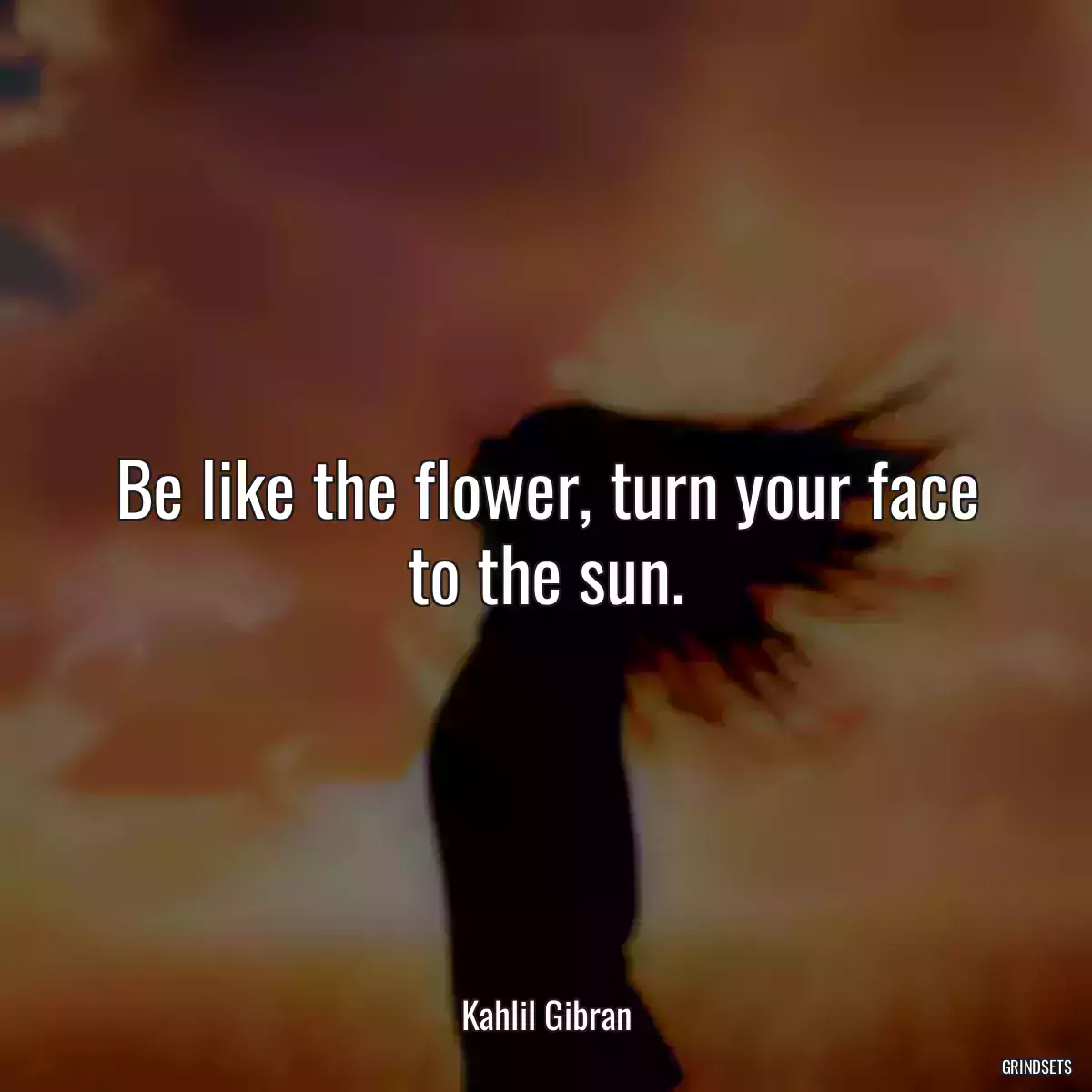 Be like the flower, turn your face to the sun.