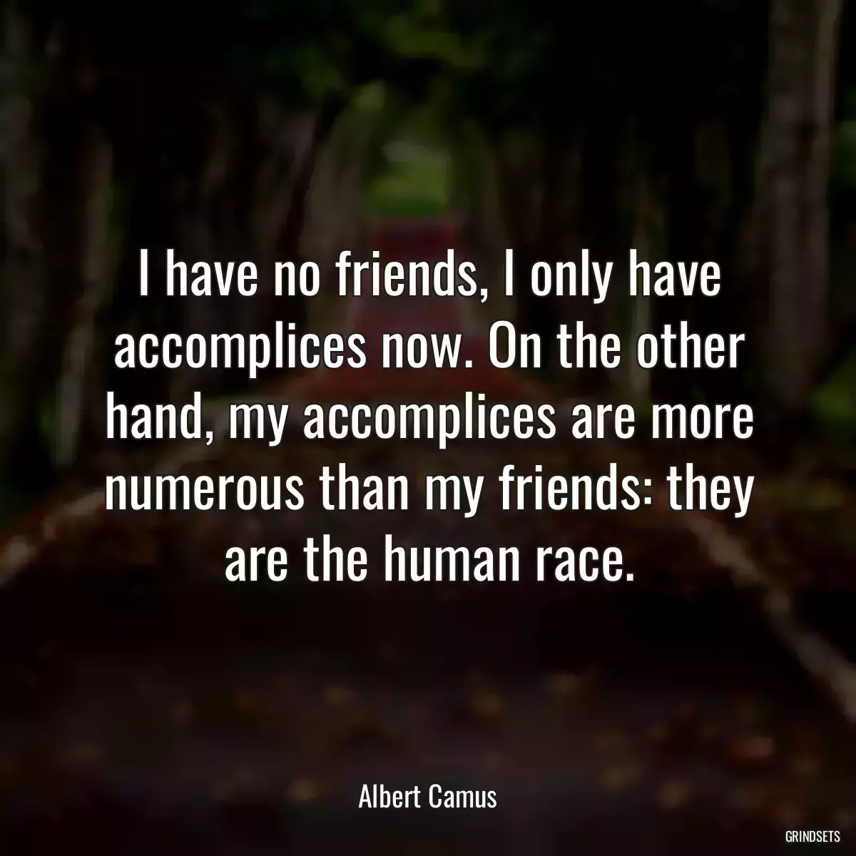 I have no friends, I only have accomplices now. On the other hand, my accomplices are more numerous than my friends: they are the human race.