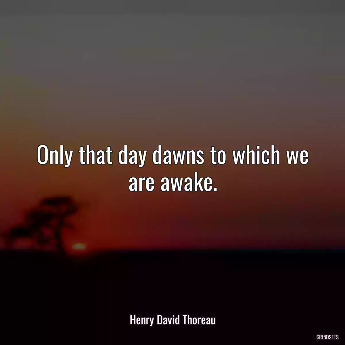 Only that day dawns to which we are awake.