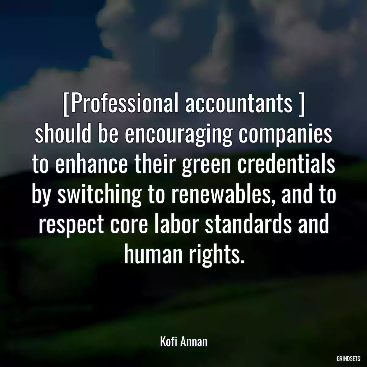 [Professional accountants ] should be encouraging companies to enhance their green credentials by switching to renewables, and to respect core labor standards and human rights.