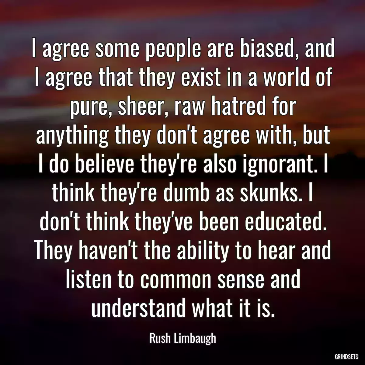 I agree some people are biased, and I agree that they exist in a world of pure, sheer, raw hatred for anything they don\'t agree with, but I do believe they\'re also ignorant. I think they\'re dumb as skunks. I don\'t think they\'ve been educated. They haven\'t the ability to hear and listen to common sense and understand what it is.