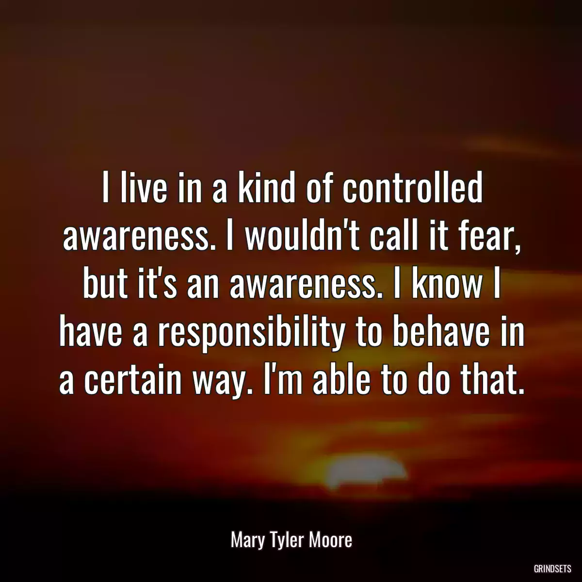 I live in a kind of controlled awareness. I wouldn\'t call it fear, but it\'s an awareness. I know I have a responsibility to behave in a certain way. I\'m able to do that.