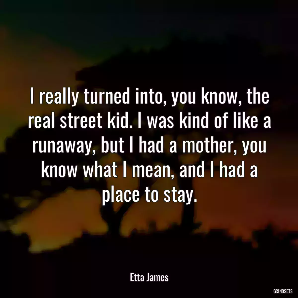 I really turned into, you know, the real street kid. I was kind of like a runaway, but I had a mother, you know what I mean, and I had a place to stay.