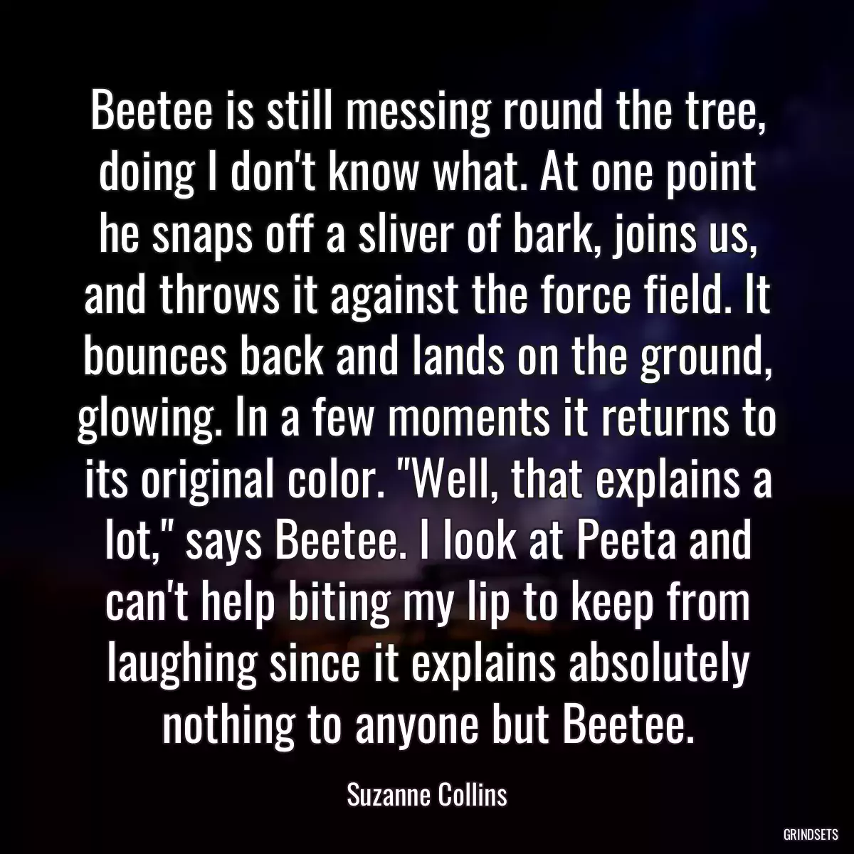 Beetee is still messing round the tree, doing I don\'t know what. At one point he snaps off a sliver of bark, joins us, and throws it against the force field. It bounces back and lands on the ground, glowing. In a few moments it returns to its original color. \