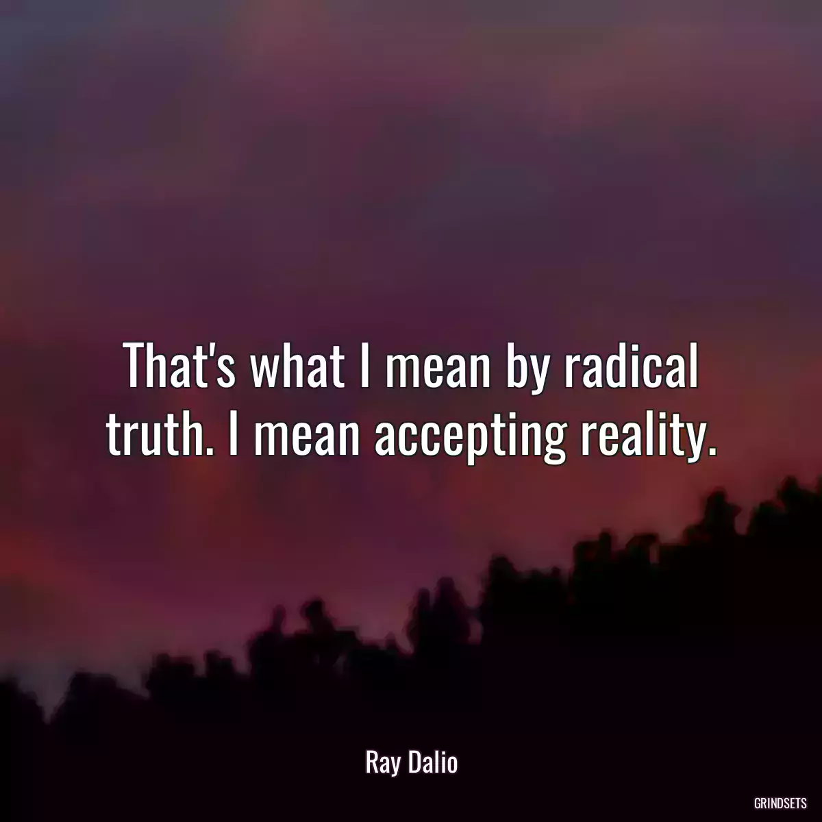 That\'s what I mean by radical truth. I mean accepting reality.