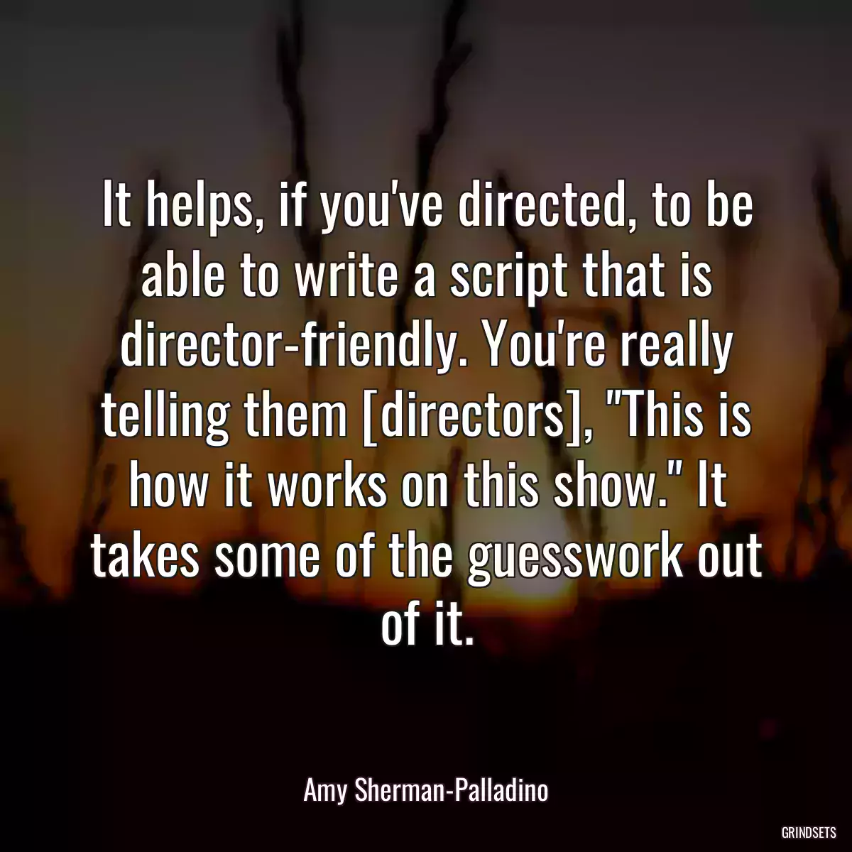 It helps, if you\'ve directed, to be able to write a script that is director-friendly. You\'re really telling them [directors], \