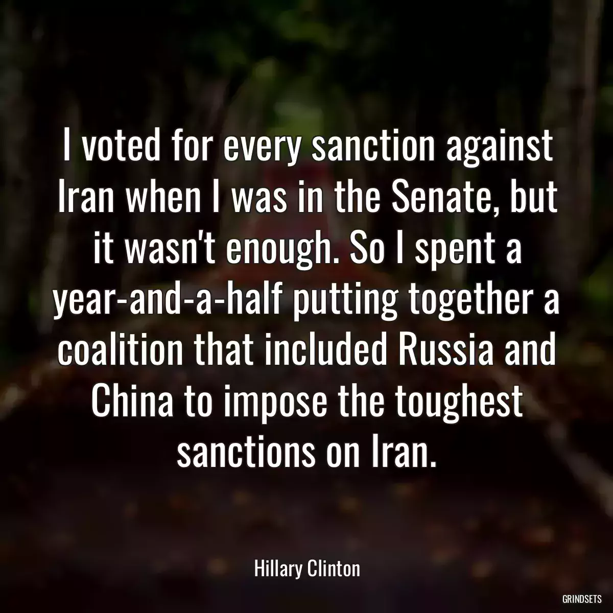 I voted for every sanction against Iran when I was in the Senate, but it wasn\'t enough. So I spent a year-and-a-half putting together a coalition that included Russia and China to impose the toughest sanctions on Iran.