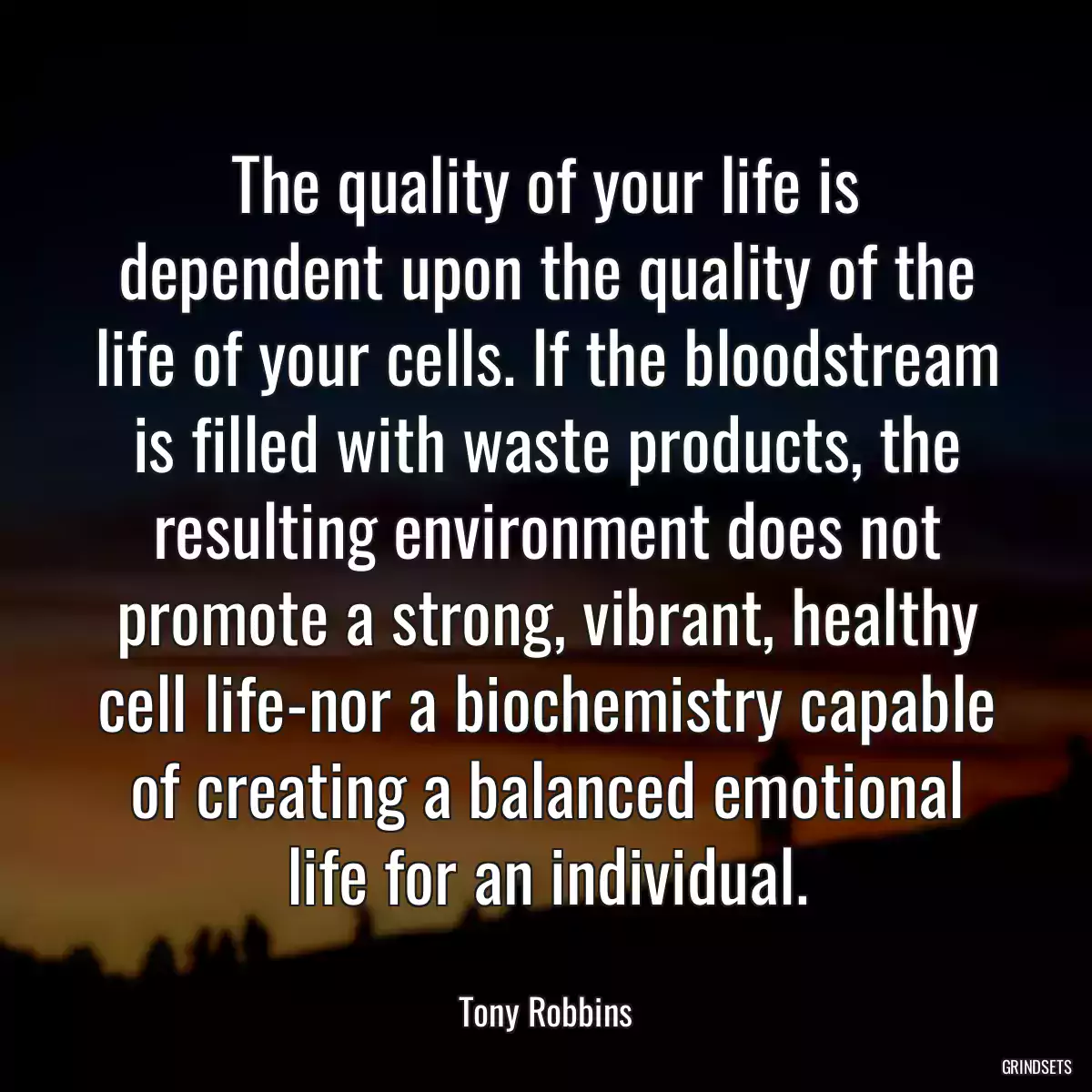 The quality of your life is dependent upon the quality of the life of your cells. If the bloodstream is filled with waste products, the resulting environment does not promote a strong, vibrant, healthy cell life-nor a biochemistry capable of creating a balanced emotional life for an individual.