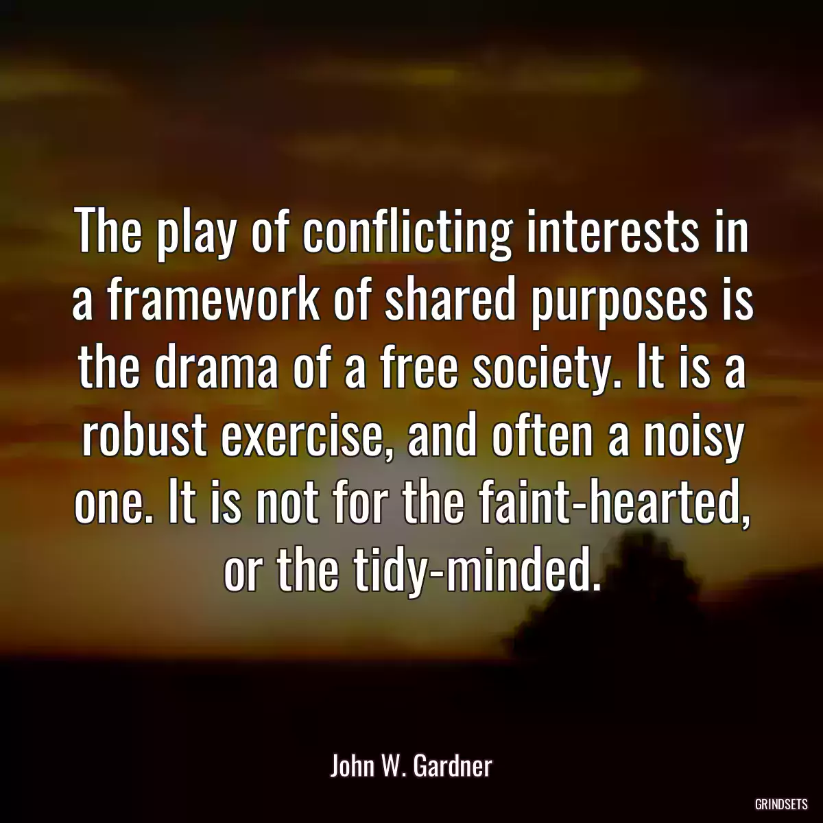 The play of conflicting interests in a framework of shared purposes is the drama of a free society. It is a robust exercise, and often a noisy one. It is not for the faint-hearted, or the tidy-minded.