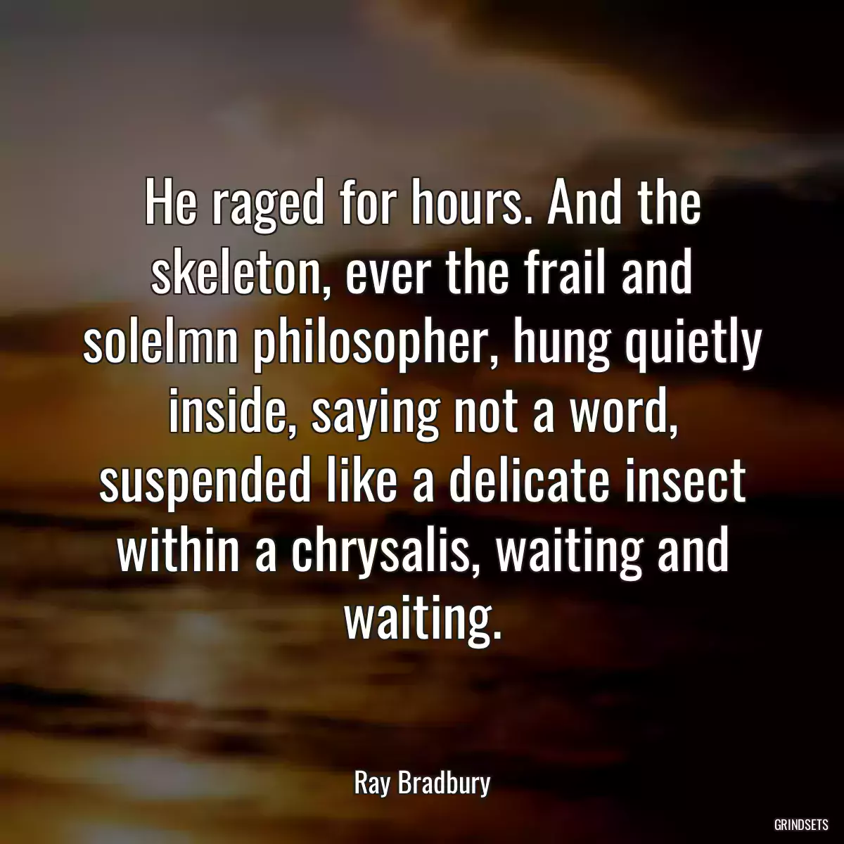 He raged for hours. And the skeleton, ever the frail and solelmn philosopher, hung quietly inside, saying not a word, suspended like a delicate insect within a chrysalis, waiting and waiting.