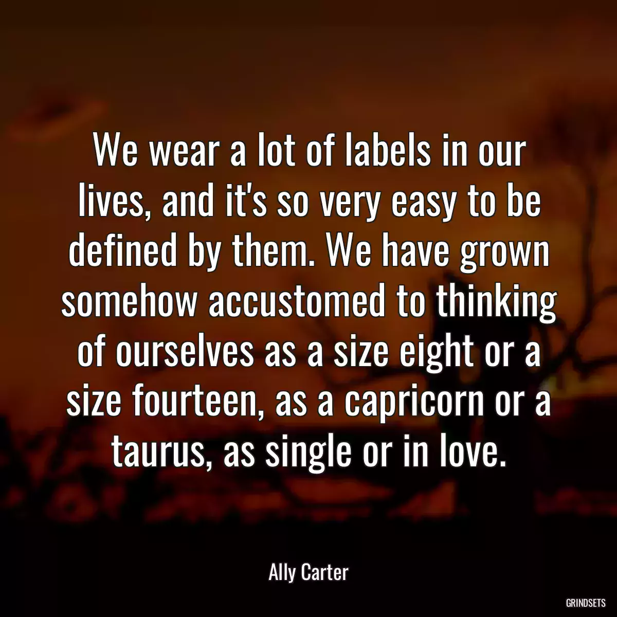 We wear a lot of labels in our lives, and it\'s so very easy to be defined by them. We have grown somehow accustomed to thinking of ourselves as a size eight or a size fourteen, as a capricorn or a taurus, as single or in love.