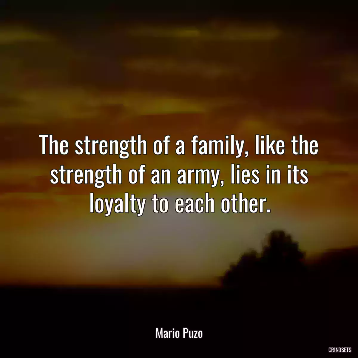 The strength of a family, like the strength of an army, lies in its loyalty to each other.