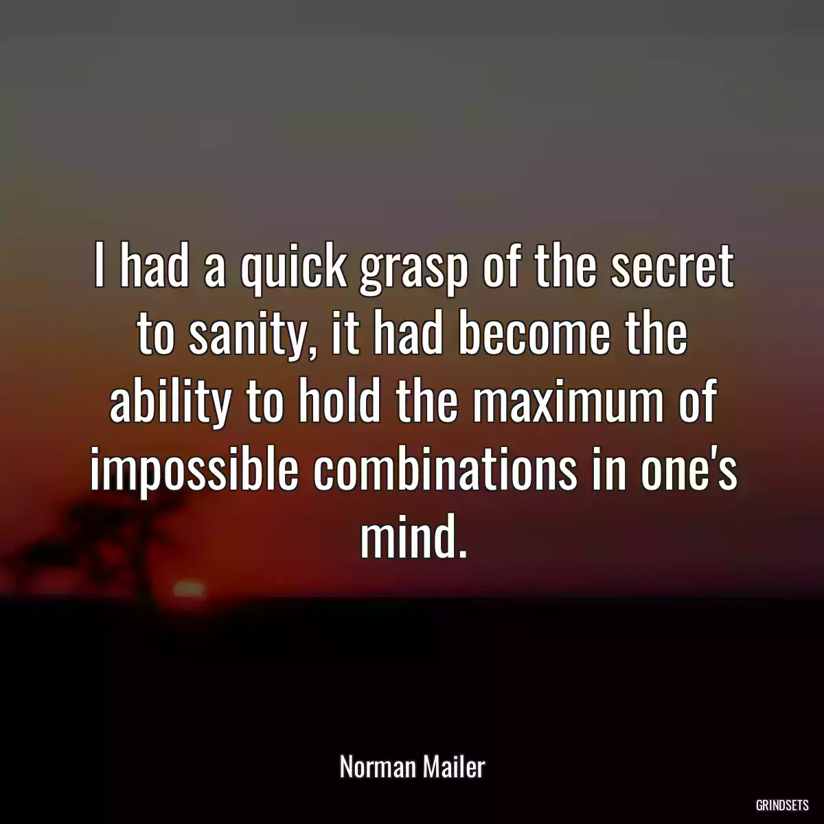 I had a quick grasp of the secret to sanity, it had become the ability to hold the maximum of impossible combinations in one\'s mind.