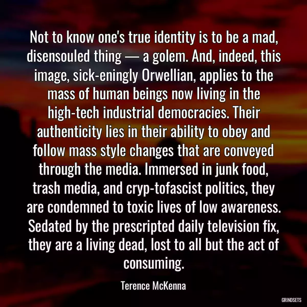 Not to know one\'s true identity is to be a mad, disensouled thing — a golem. And, indeed, this image, sick-eningly Orwellian, applies to the mass of human beings now living in the high-tech industrial democracies. Their authenticity lies in their ability to obey and follow mass style changes that are conveyed through the media. Immersed in junk food, trash media, and cryp-tofascist politics, they are condemned to toxic lives of low awareness. Sedated by the prescripted daily television fix, they are a living dead, lost to all but the act of consuming.