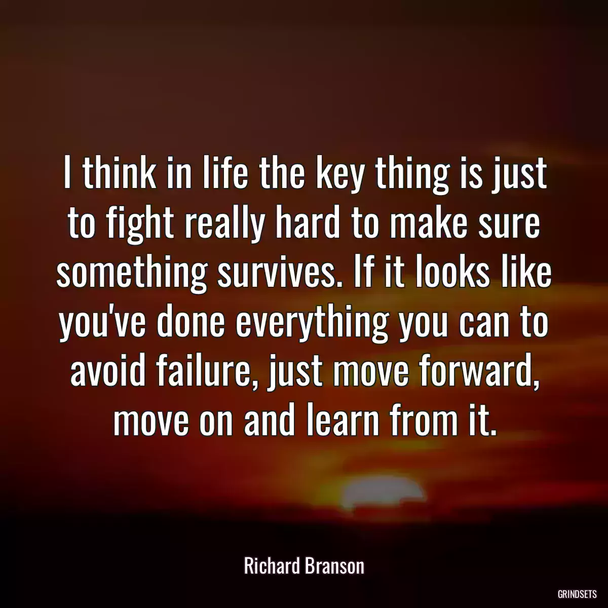 I think in life the key thing is just to fight really hard to make sure something survives. If it looks like you\'ve done everything you can to avoid failure, just move forward, move on and learn from it.