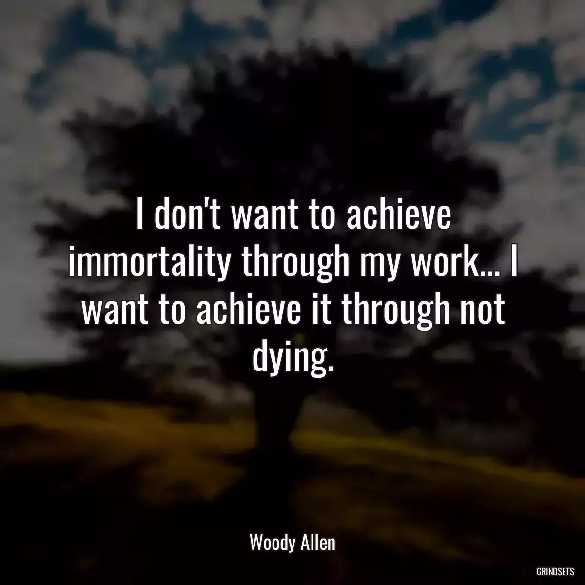 I don\'t want to achieve immortality through my work... I want to achieve it through not dying.