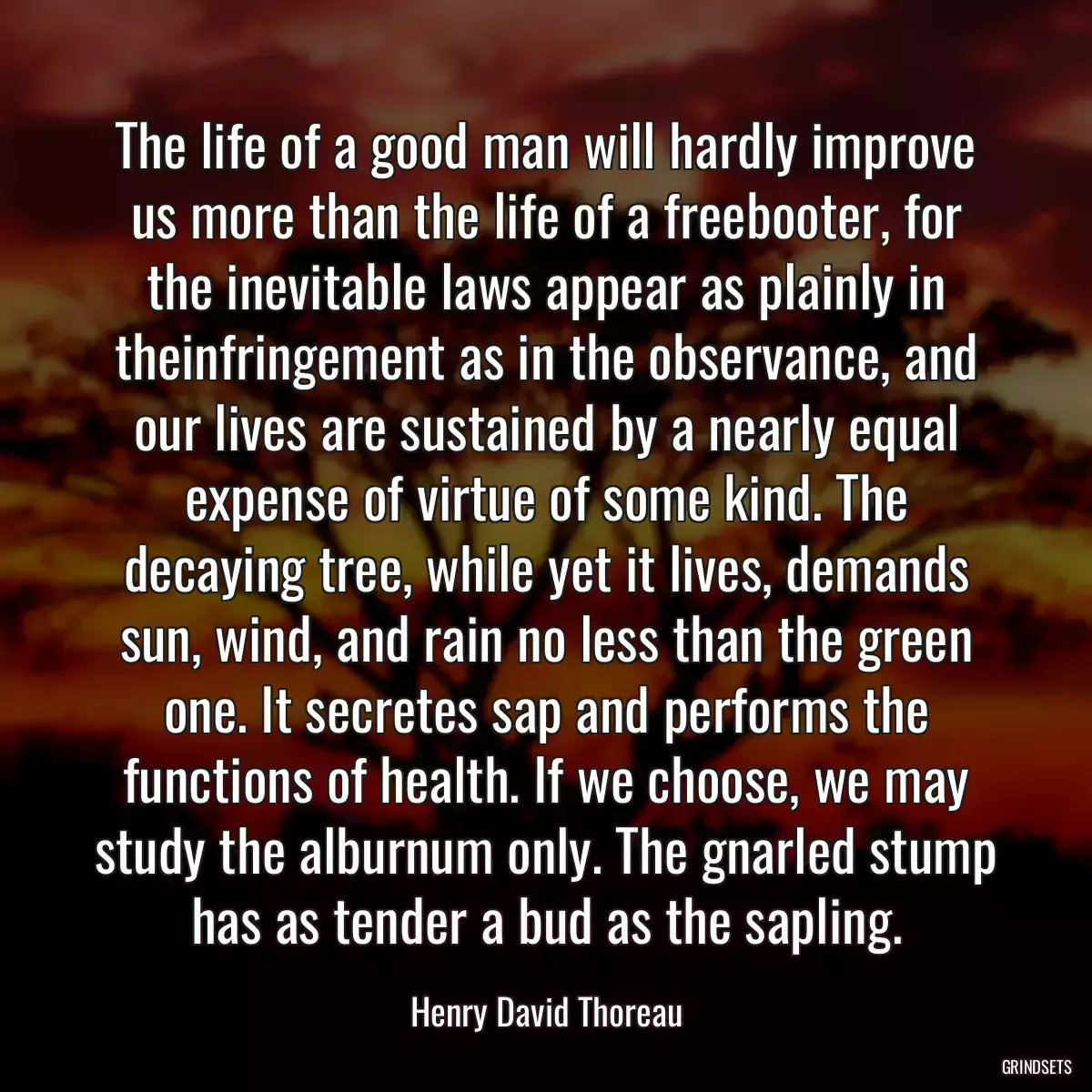 The life of a good man will hardly improve us more than the life of a freebooter, for the inevitable laws appear as plainly in theinfringement as in the observance, and our lives are sustained by a nearly equal expense of virtue of some kind. The decaying tree, while yet it lives, demands sun, wind, and rain no less than the green one. It secretes sap and performs the functions of health. If we choose, we may study the alburnum only. The gnarled stump has as tender a bud as the sapling.