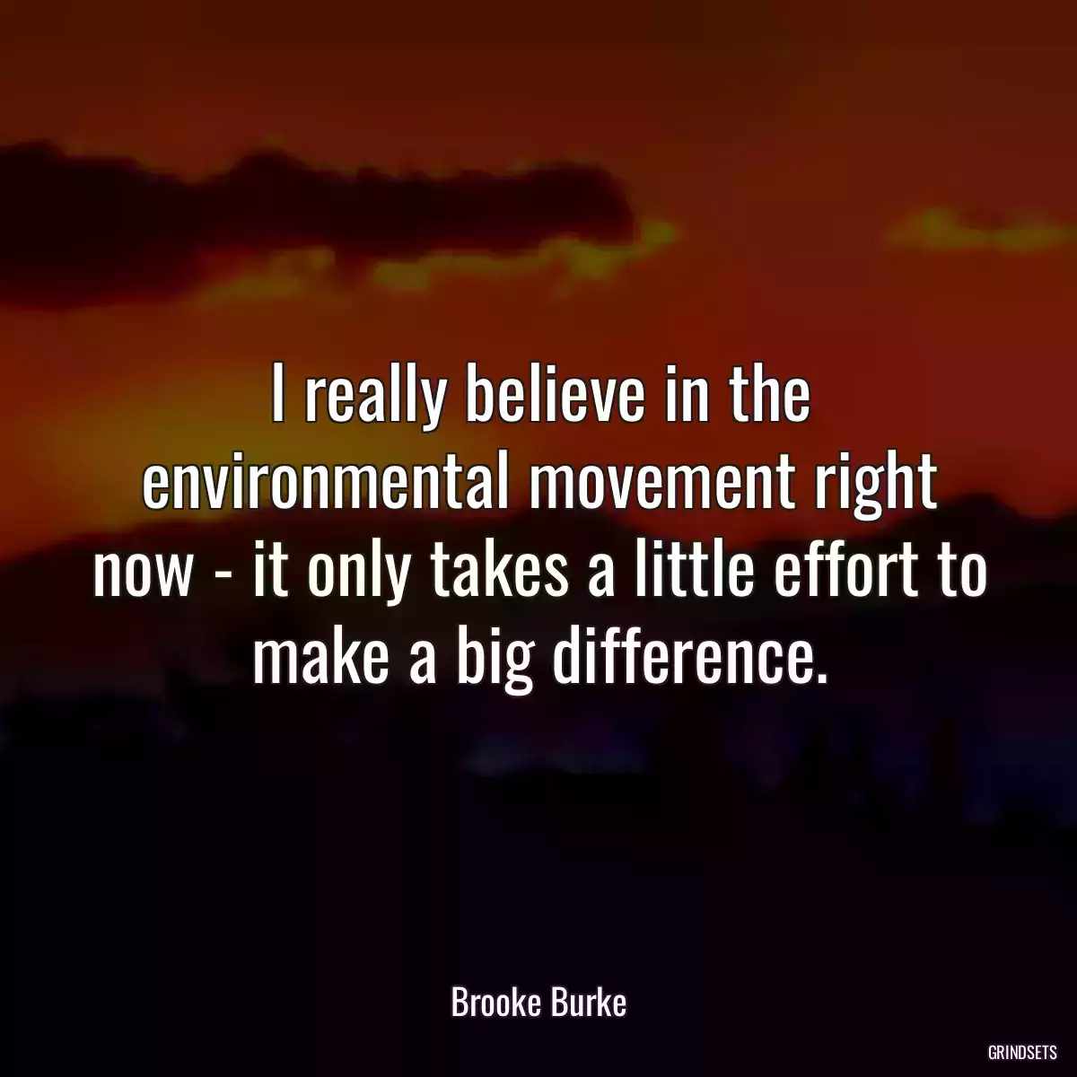 I really believe in the environmental movement right now - it only takes a little effort to make a big difference.