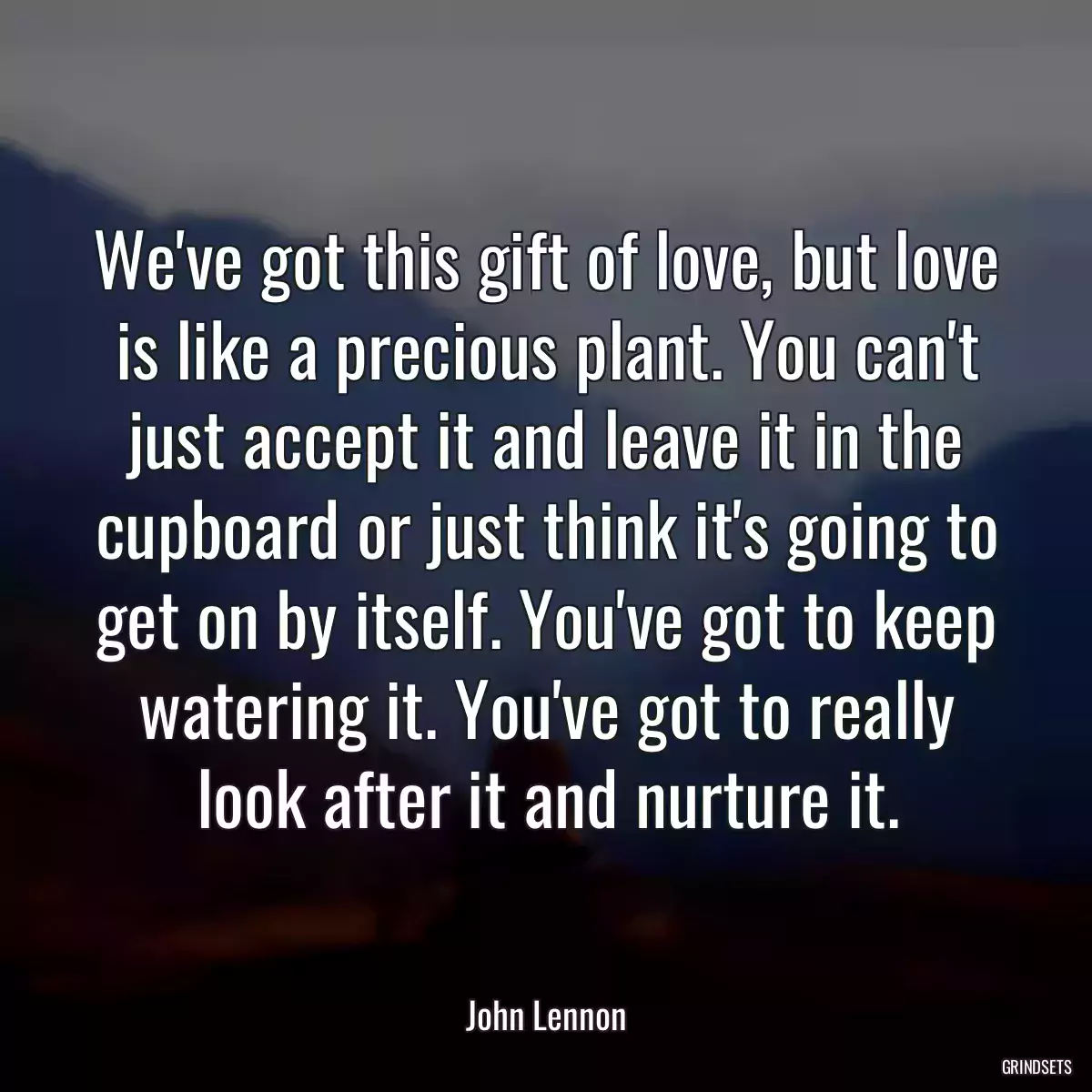 We\'ve got this gift of love, but love is like a precious plant. You can\'t just accept it and leave it in the cupboard or just think it\'s going to get on by itself. You\'ve got to keep watering it. You\'ve got to really look after it and nurture it.