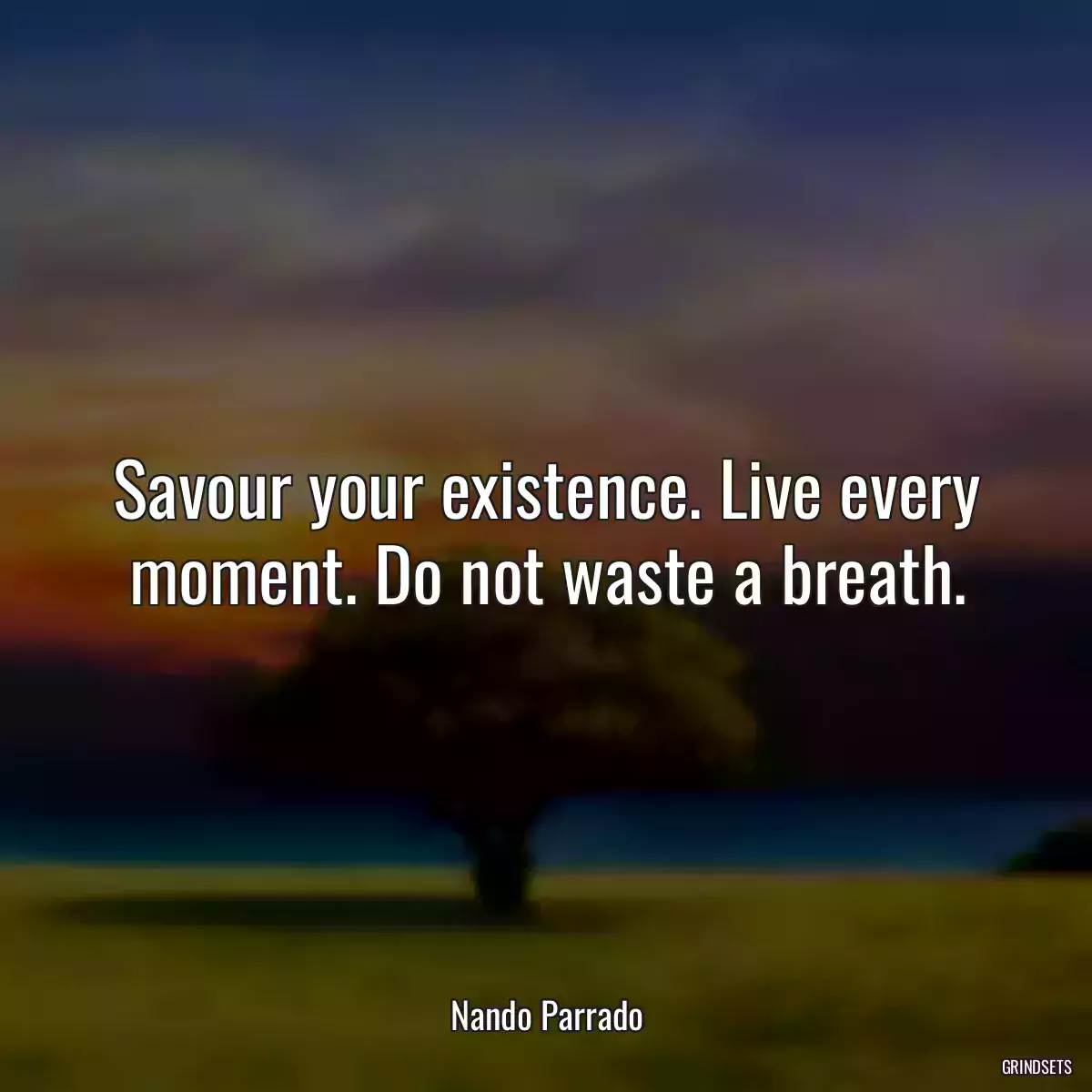 Savour your existence. Live every moment. Do not waste a breath.